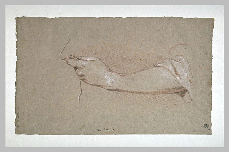 Etude d'une main et de l'avant-bras