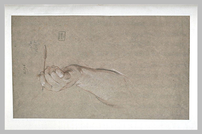 Etude de main à demi-fermée