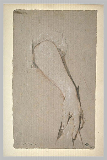 Main de femme avec l'avant-bras