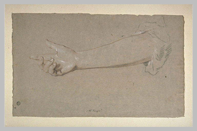 Main de femme à demi-fermée, vue en dessous avec l'avant-bras