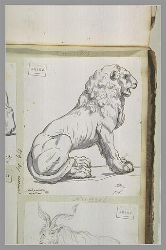 Un lion assis sur ses pattes de derrière, vu de profil