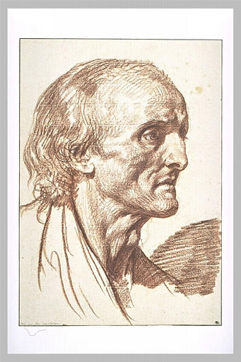 Tête d'homme chauve