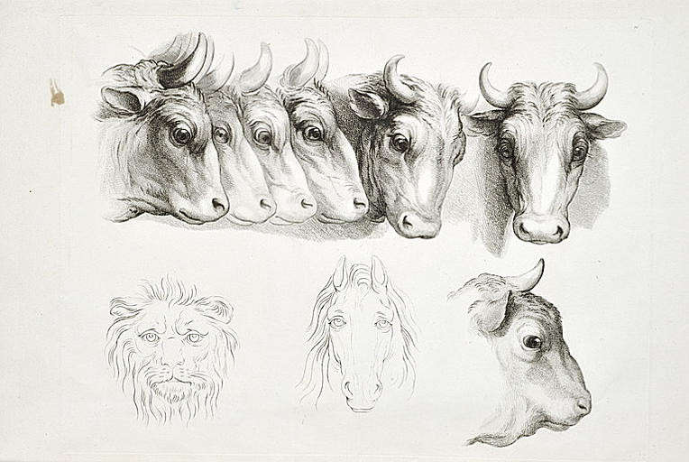 Têtes de boeufs, de lion et de cheval
