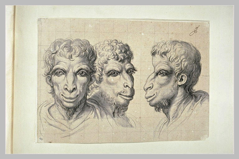 Trois têtes physiognomoniques inspirées par le chameau