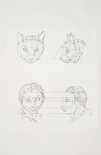 Deux têtes de chat et deux d'homme en relation avec le chat