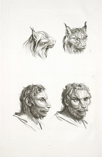 Deux têtes de loup-cervier. Deux têtes d'homme en relation avec.