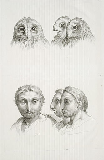Trois têtes de chat-huant et trois têtes d'hommes en relation avec celles-ci