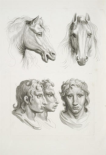 Deux têtes de cheval et trois têtes d'hommes en relation avec celles-ci.