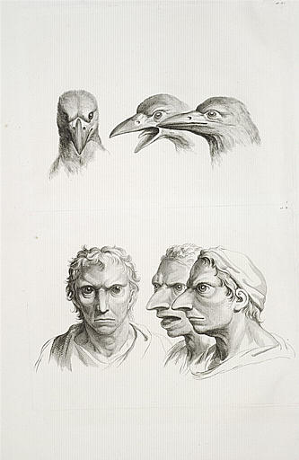 Trois têtes de corbeaux et trois têtes d'homme en relation avec le corbeau.