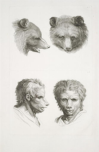 Deux têtes d'ours et deux têtes d'hommes en relation avec l'ours.
