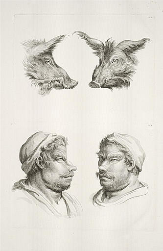 Deux têtes de sangliers. Deux têtes d'homme en relation avec le sanglier.