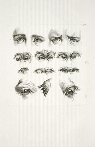 Divers aspects et mouvements d'yeux de chameaux, de singes et de l'homme
