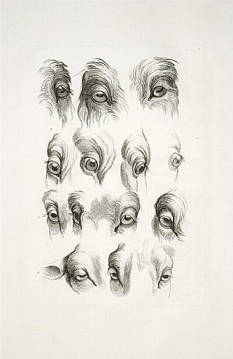 Yeux de bouc, de bélier et du pourceau.