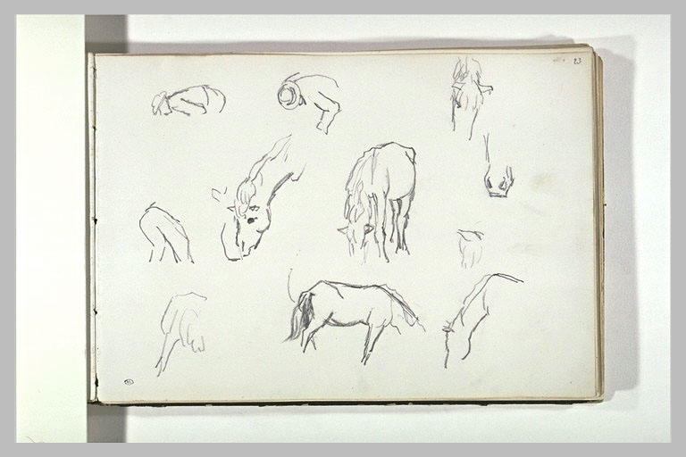 Chevaux, et personnages courbés