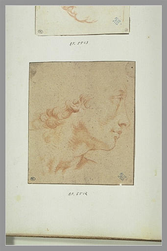 Etude d'une tête de femme, de profil