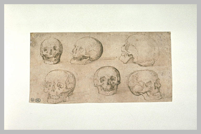 Six études d'un crâne
