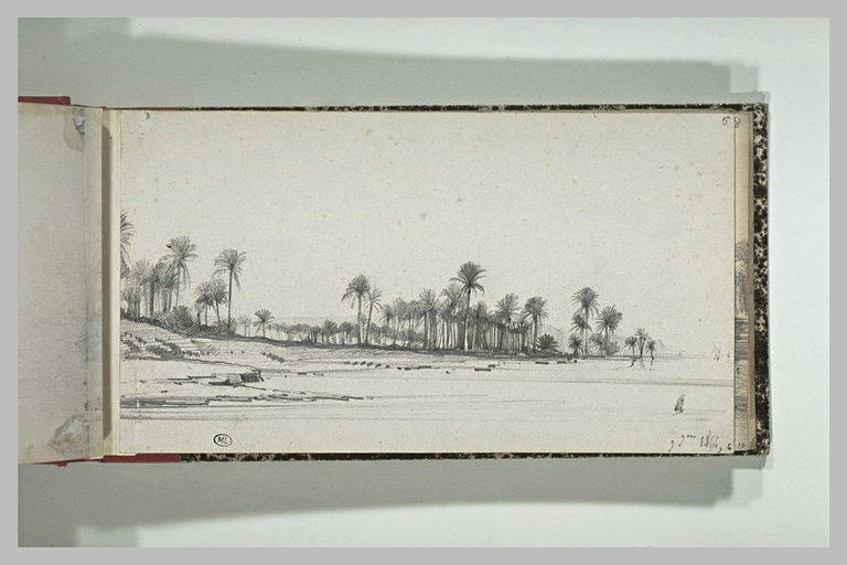 Paysage des abords du Nil
