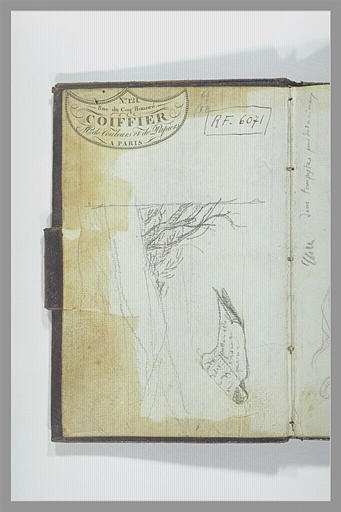 Arbustes ; rouleau de papier avec une annotation