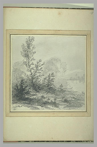 Paysage