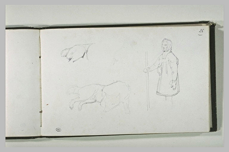 Etudes d'un chien et d'un Lapon