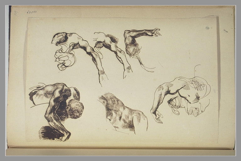 Etudes : homme vu de dessus ; bras ; demi torse