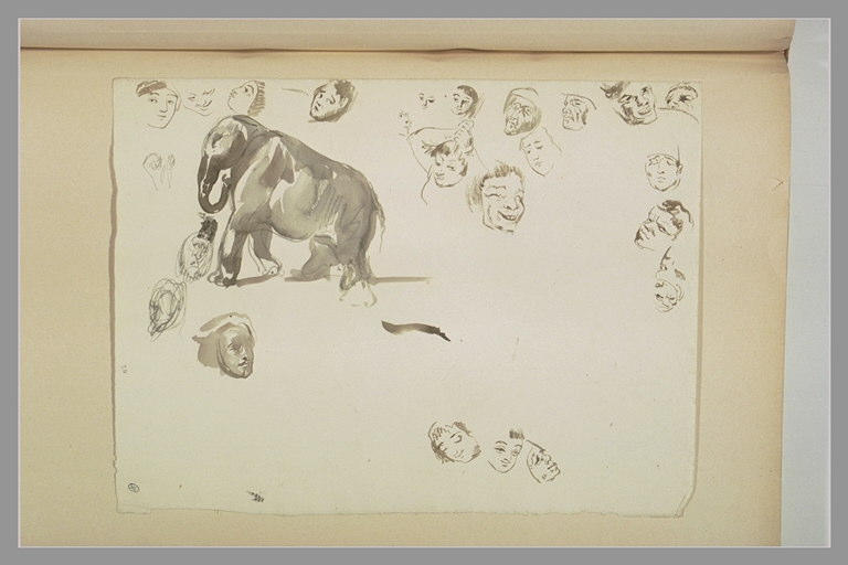 Vingt-trois études de têtes et un éléphant