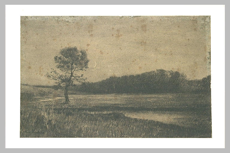 Paysage au crépuscule : au premier plan, arbre près d'un ruisseau
