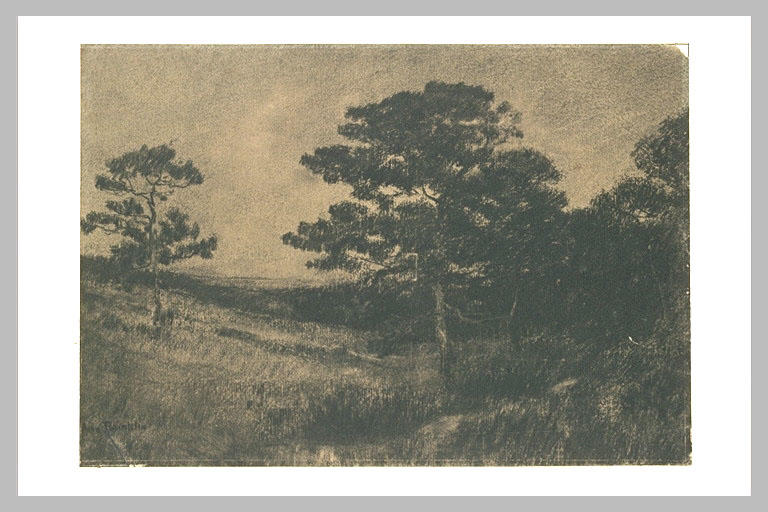 Paysage : terrain légèrement vallonné avec des arbres