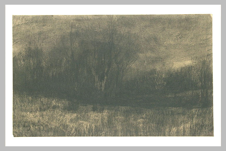 Paysage : lisière d'un bois, au crépuscule