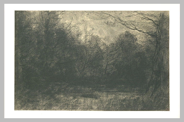 Etang entouré d'arbres, au crépuscule