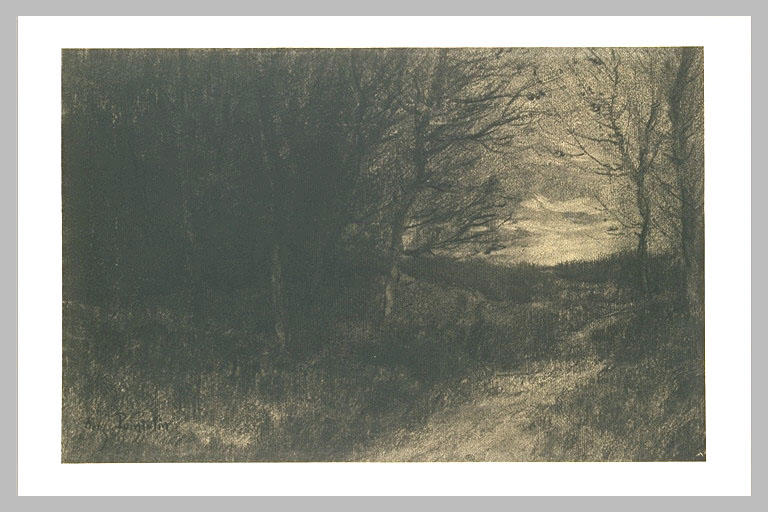 Chemin entrant dans un bois