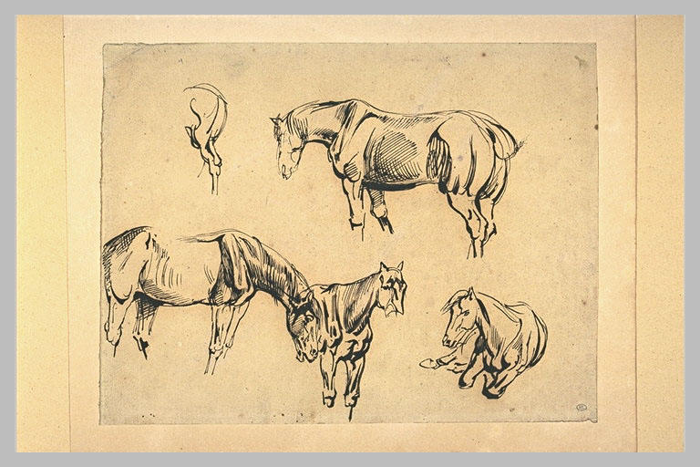 Cinq études de chevaux