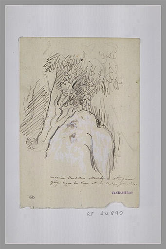 Arbre près d'un rocher