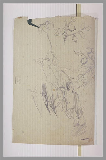 Deux figures rayées à coups de crayon ; études de branches d'oranger