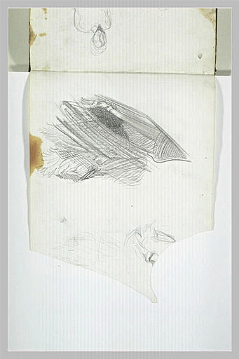 Main sur un visage ; croquis
