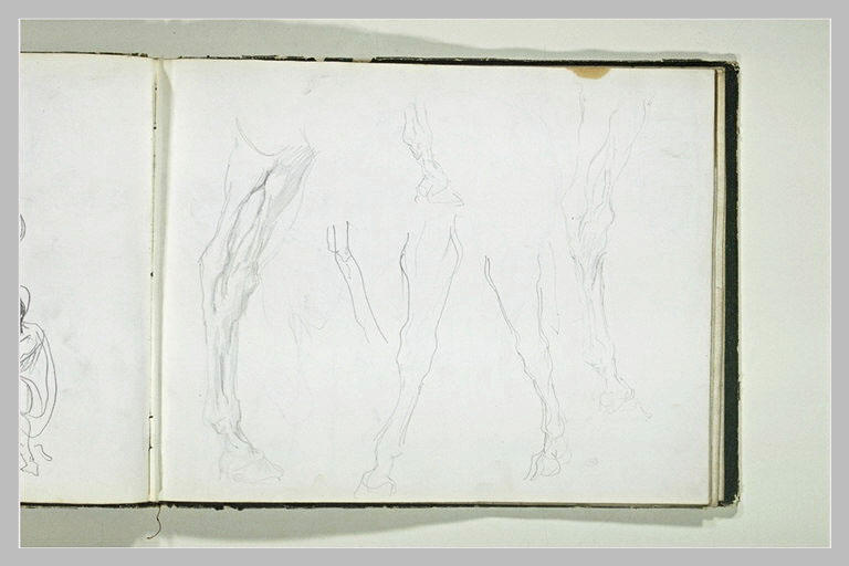 Jambes de cheval