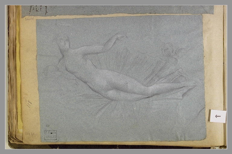 Vénus couchée dans une coquille