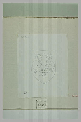 Pescia : blason avec un lys