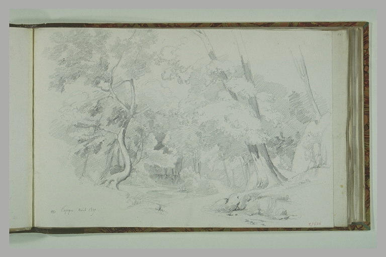 Papigno : route sous bois