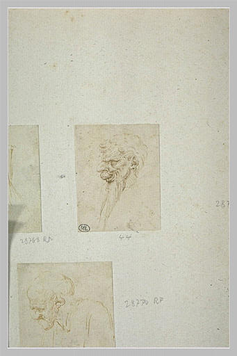 Tête d'homme barbu de profil à gauche, avec une longue barbe