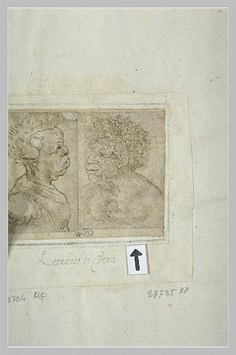 Homme noir en buste, de trois quarts à gauche, la poitrine nue