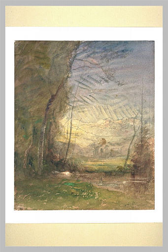 Rivière coulant entre des bouquets d'arbres