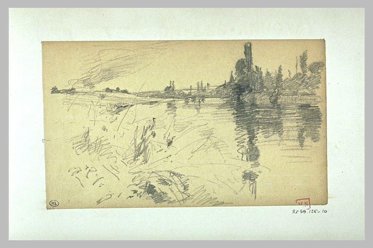 Paysage fluvial avec des arbres au bord de l'eau