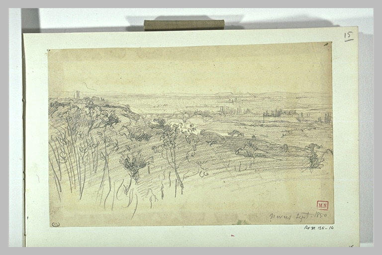 Paysage panoramique de plaine avec des arbres au premier plan