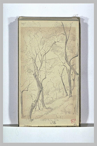 Paysage boisé