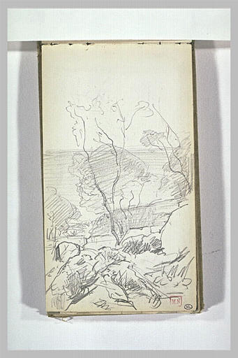 Paysage avec arbres au centre et la mer dans le fond