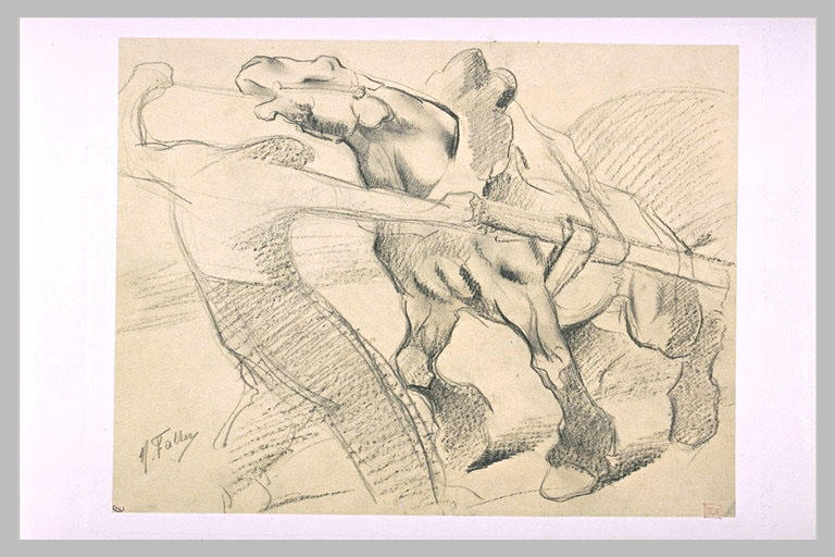 Etude de cheval de trait en plein effort