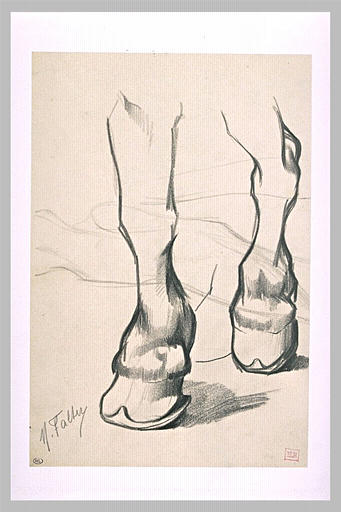 Etude de jambes de cheval