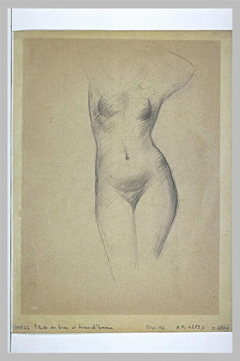 Etude de corps féminin, vu de face
