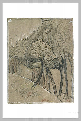 Orée d'un bois